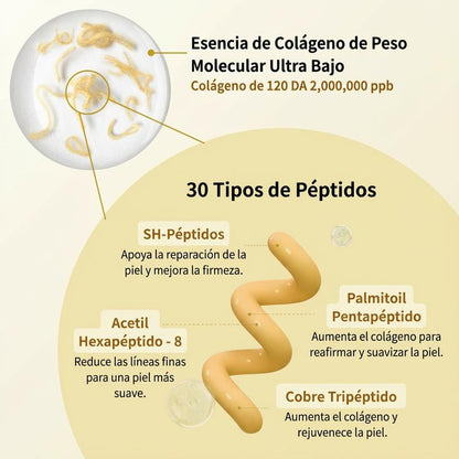 Ampolla de Péptidos Silk Lifting con Colágeno Profundo – Sérum Facial Antiarrugas, Reafirmante e Hidratante