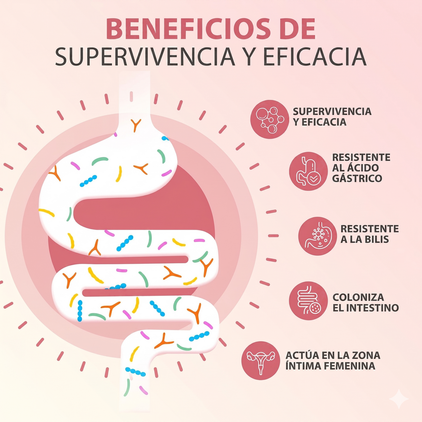 Cápsulas Probióticas Windboss Women's Private Care – 32 Cepas con Arándano y Vitamina C (90 Cápsulas) 【MES DE LA MUJER】