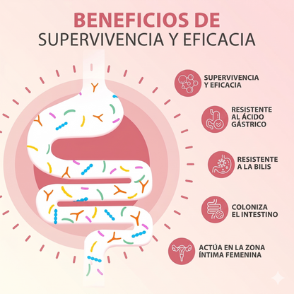 Cápsulas Probióticas Windboss Women's Private Care – 32 Cepas con Arándano y Vitamina C (90 Cápsulas) 【MES DE LA MUJER】