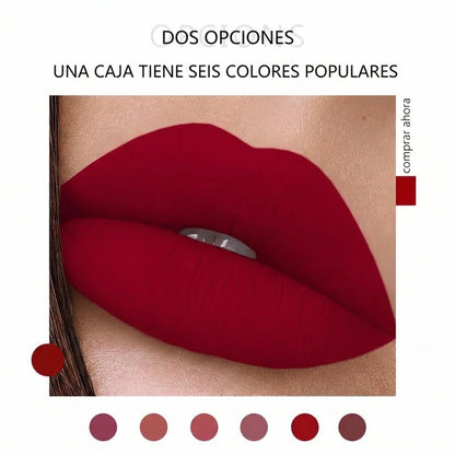 Set de 6 labiales líquidos mate de larga duración