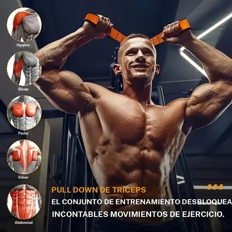 Equipo de entrenamiento de resistencia ajustable, banda elástica de resistencia, adecuado para press de hombros, remo al mentón, curl de bíceps y entrenamiento de brazos.