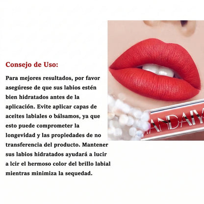 Set de 6 labiales líquidos mate de larga duración