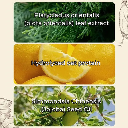 REMIMPI Champú anticaída, tratamiento para la caída del cabello, control de aceite, anticaspa, cuidado capilar, ginseng, jengibre, ayuda al crecimiento del cabello, jojoba, avena, repara, reduce la caída del cabello