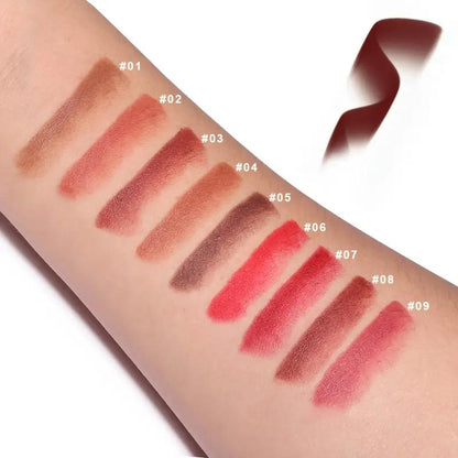 Paquete de 5 - Labial Mate Hidratante Resistente al Agua Alta Pigmentación Set