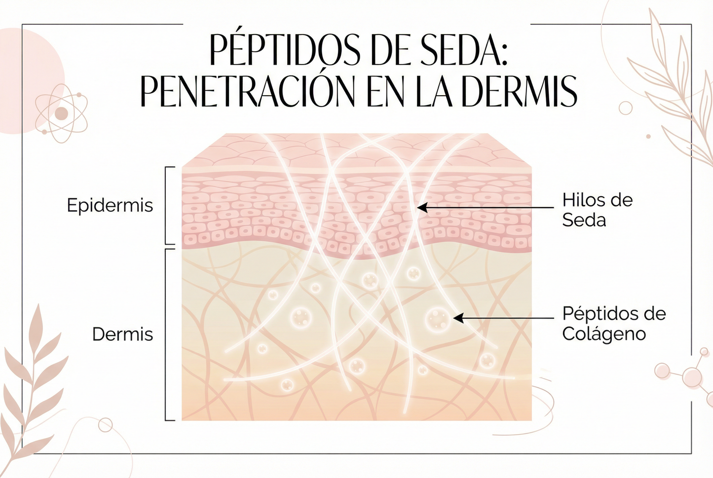NaperiSilk — Ampolla Rellenadora Profunda de Colágeno y Péptidos de Seda